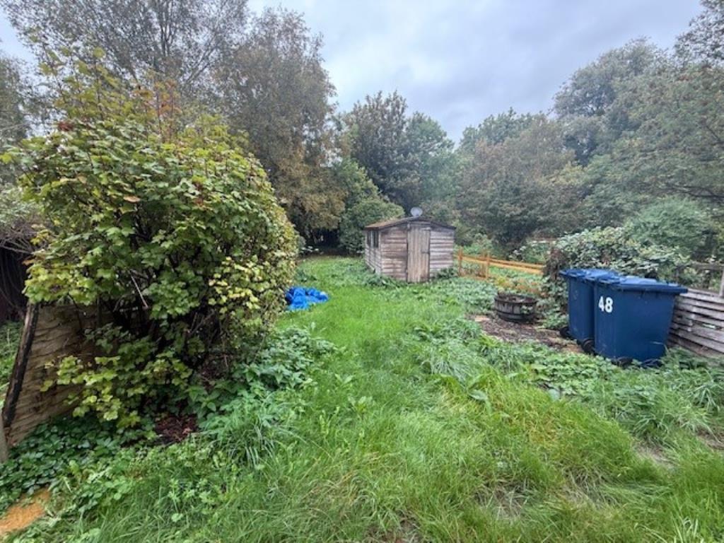 Lot: 115 - A PAIR OF THATCHED COTTAGES IN NEED OF IMPROVEMENT - 48 Abbey Street back of garden with shed